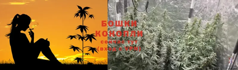 Каннабис OG Kush  сколько стоит  Оренбург 